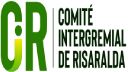 comiteRecurso 7